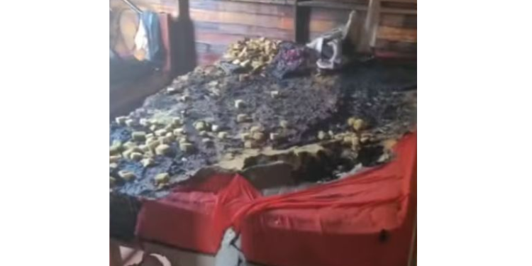 Pai ateia f0go em colchão enquanto filha de 3 anos dormia durante br1ga com companheira em Manacapuru
