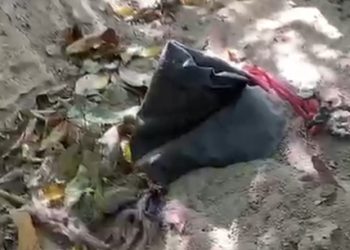 Vídeo: c0rpo é desenterrad0 de cova rasa na Avenida Constantino Nery