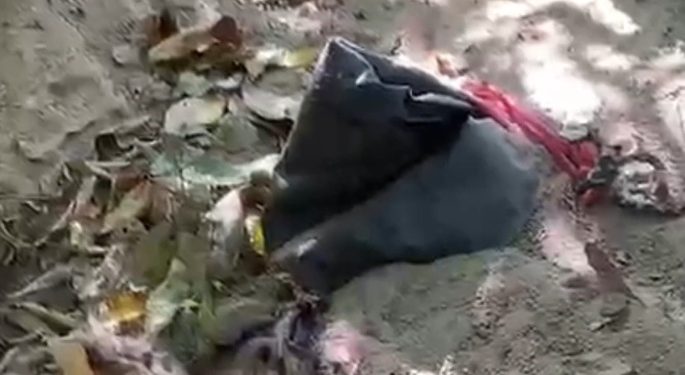 Vídeo: c0rpo é desenterrad0 de cova rasa na Avenida Constantino Nery