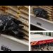 Cliente grava pombo furando saco de grãos no Supermercado Nova Era em Manaus