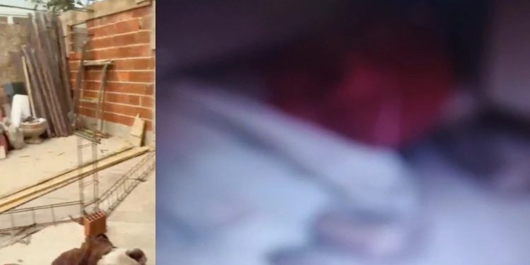 Vídeo forte: pai e filhos m0rrem eletr0cutados tentando salvar a mãe do choque no Cidade de Deus