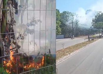 Vídeo: incêndio toma conta de área de mata e assusta população na Bola da Suframa