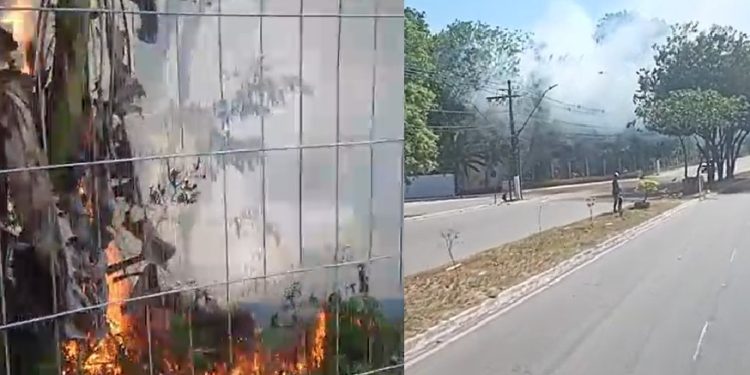 Vídeo: incêndio toma conta de área de mata e assusta população na Bola da Suframa