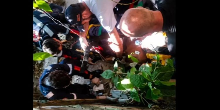 Árvore cai em cima de idoso que m0rre na hora em Manaus