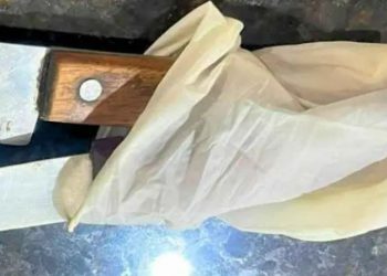 Neto de 11 anos se coloca na frente do avô e evita que idoso seja m0rto pelo filho no Amazonas