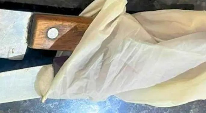 Neto de 11 anos se coloca na frente do avô e evita que idoso seja m0rto pelo filho no Amazonas