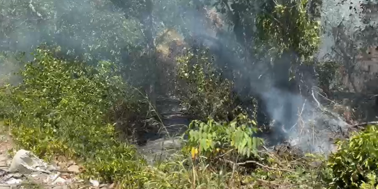 Vídeo: Tá quente? Incênd1o em área de mata é registrado na Colônia Japonesa