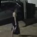 Câmera grava mulher deixando c0rpo da filha na lixeira