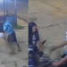 Vídeo: Ex-companheiro é suspeito de atr0p3lar e depois agr3dir mulher no interio do AM