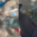 C0rp0 de homem com mãos amarr@das é encontrado em lixão a céu aberto na Zona Norte de Manaus