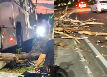 Vídeos: Coletivo lotado atinge árvore e deixa f3ridos no bairro Cidade Nova, em Manaus