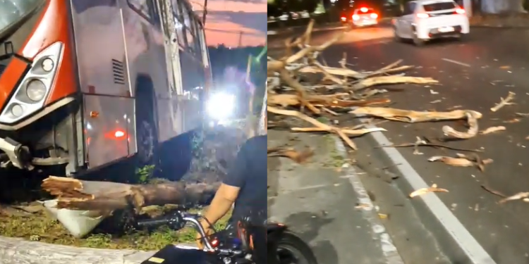 Vídeos: Coletivo lotado atinge árvore e deixa f3ridos no bairro Cidade Nova, em Manaus