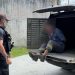 Tio filma a sobrinha de 6 anos sofrendo estrupr0 pelo próprio pai no Amazonas