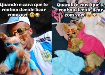 Entregador viraliza com Zoe, a yorkshire ‘r0ubada’ que conquistou internet: ‘Me apeguei’; veja