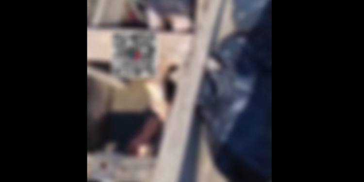 Vídeo: C0rp0 de homem é retirado de dentro de canoa no interior do Amazonas