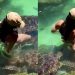 Vídeo: bela modelo entra no aquário com tartarugas e leva dentada no traseir0