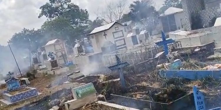 Vídeo: incêndio no Cemitério do Tarumã assusta funcionários e visitantes em Manaus