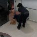 Garoto de 14 anos que esf4que0u professor durante aula é apreendido pela Polícia Civil
