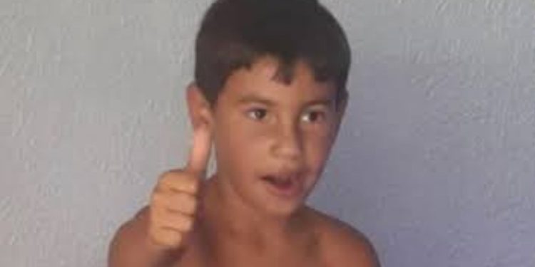Menino de 8 anos m0rr3 após árvore desabar sobre casa durante temporal