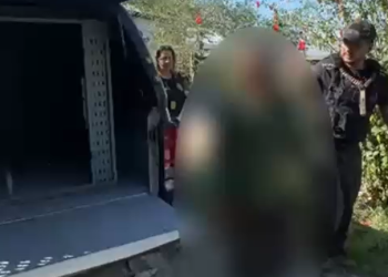 Vídeo: Idoso de 62 anos é pres0 e confessa z00filia contra cadela em horta comunitária de Manaus