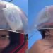 Vídeo: passageira encontra absorvente no capacete de mototaxista em Manaus
