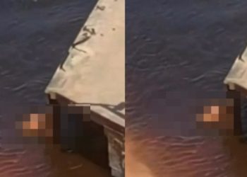 Vídeo: casal faz teste de fertilidade dentro do rio em Manaus: ‘vivendo o extraordinário’