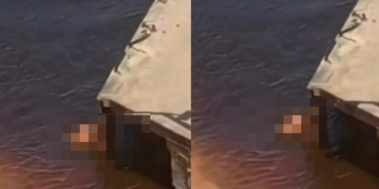 Vídeo: casal faz teste de fertilidade dentro do rio em Manaus: ‘vivendo o extraordinário’