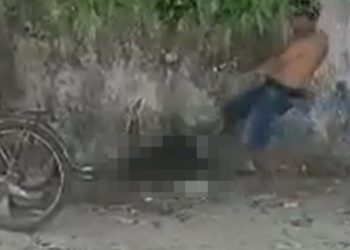 Homem é gravado chutand0 cachorro no interior do Amazonas; vídeo