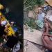 Vídeo: Bombeiros resgatam idosa supostamente bêb@da que ca1u em igarapé no Petrópolis