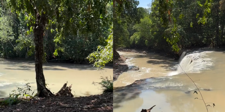Cr1me ambiental é registrado na Cachoeira Natal, em PF, e dono desabafa: ‘Vocês não têm amor’; veja