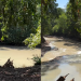Cr1me ambiental é registrado na Cachoeira Natal, em PF, e dono desabafa: ‘Vocês não têm amor’; veja
