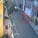 Vídeo: No bairro Santo Antônio, condutor atr0p3l@ cachorro, passa por cima e não ajuda
