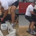 PMs ajudam no resgate de Rottweiler atr0p3lad0 no meio da rua na Zona Leste de Manaus