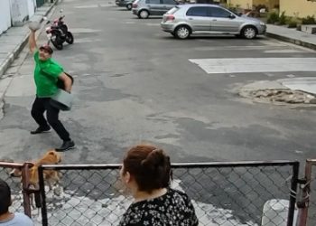Vídeo: homem é flagrado apedrejand0 um cachorro em Manaus