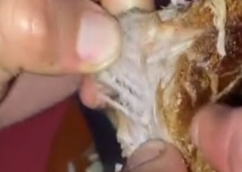 Vídeo: consumidor compra “carne de plástico” em Manaus e denúncia nas redes sociais