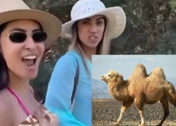 Isabelle Nogueira revela que foi “avaliada” por homem na Europa e está valendo 80 camelos