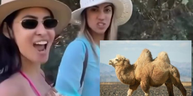 Isabelle Nogueira revela que foi “avaliada” por homem na Europa e está valendo 80 camelos