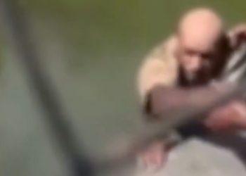 Vídeo: crocodilo puxa pernas de tratador pelo dente e ele m0rre no tanque: ‘ele não conseguia gritar’