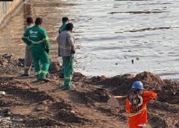 Vídeo: Trabalhadores encontram crâni0 humano perto da Feira da Banana, em Manaus