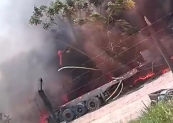 Vídeo: Novo incêndi0 volta a atingir vegetação perto da Musashi, no Distrito Industrial 2