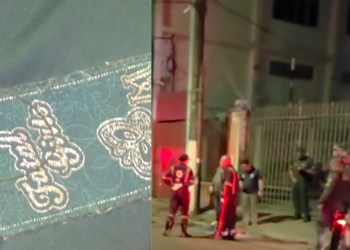 Fet0 é encontrado no meio do lixo no Centro de Manaus