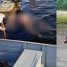 Vídeo: ribeirinho é achado m0rto após cair de embarcação no Amazonas