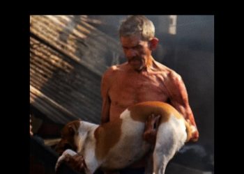 Imagem forte: proprietário da casa que pegou fogo enfrenta chamas e salva cachorro no Amazonas