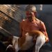 Imagem forte: proprietário da casa que pegou fogo enfrenta chamas e salva cachorro no Amazonas