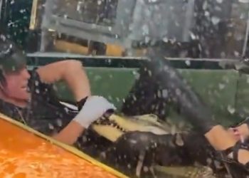 Vídeo: jacaré puxa treinadora para tanque com a boca e tritura o osso da mão dela