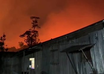 Vídeo: mulher vê incêndio se aproximar da casa de madeira dela e pede socorro no Amazonas: ‘nos ajudem’