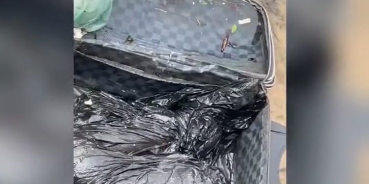 Vídeo forte: mala com pernas humanas é encontrada boiando na Avenida Tupiniquins