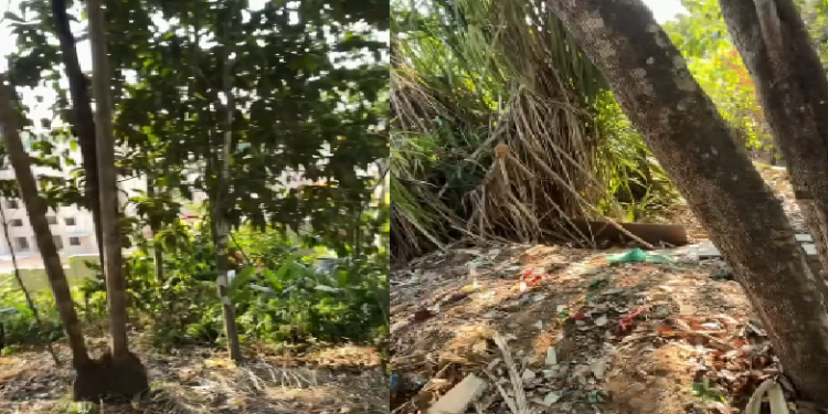 Moradores sentem f0rte odor em área de mata do Parque Mosaico e encontram mulher m0rt@