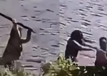 Vídeo: ribeirinho filma mulher que apanh0u acertand0 ripa nas costas do agress0r no Amazonas