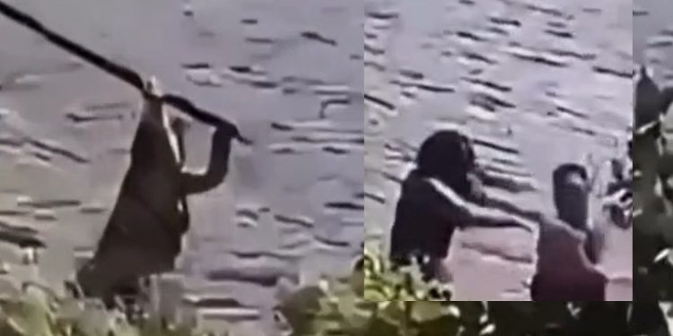Vídeo: ribeirinho filma mulher que apanh0u acertand0 ripa nas costas do agress0r no Amazonas